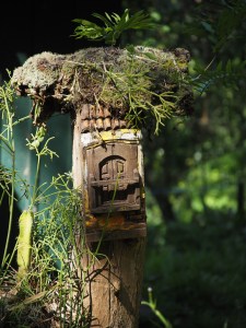 Klitzekleine Gäste sind Willkommen